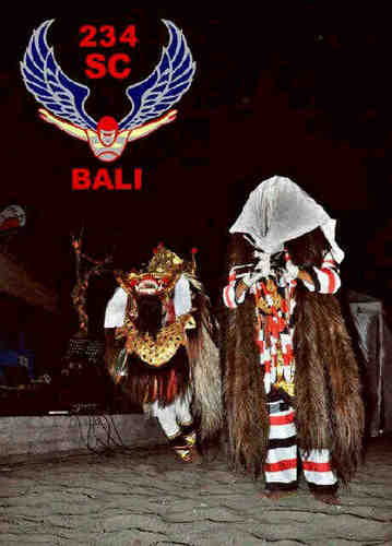 Official Twitter Account 234 Solidarity Community Bali. One Blood One Nation. FREEFALL !!!
