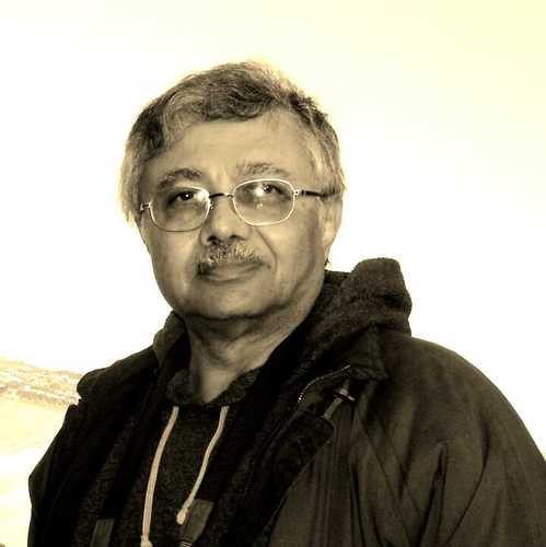 Kiwipandit Profile Picture