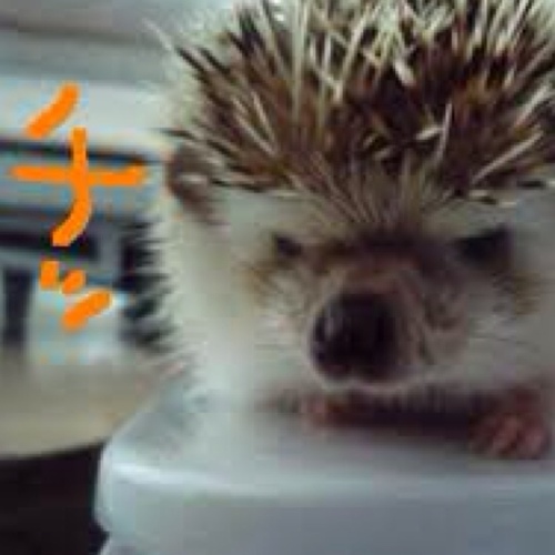 心理学。統計。へっぽこインフラエンジニア。