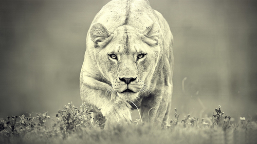 MartinCamachoo1's profile picture. Experto en Desmadre y mas xDD