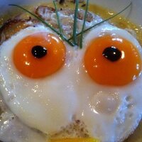 Thomas Widmer (@thomaswidmer1) 's Twitter Profile