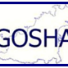 GoshaAwards Profile Picture