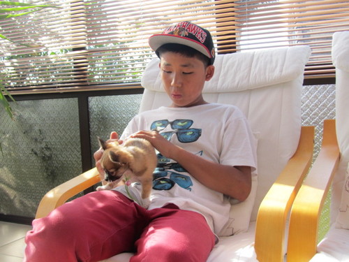 MrYellowDude's profile picture. I'm Asian...