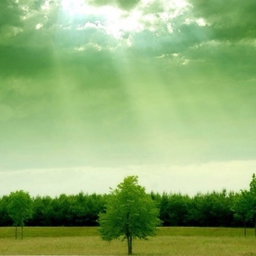 bearjaehee's profile picture. come back...