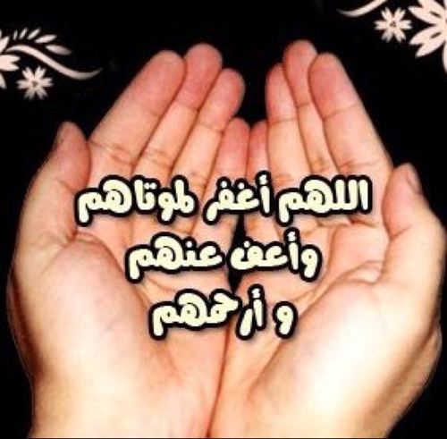 mohmmadalrajhi9 Profile Picture