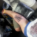 jesse roach - @uni_vikings12 - Twitter