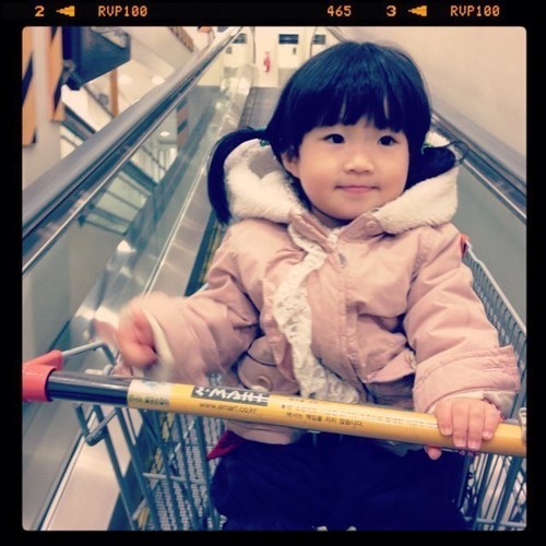 shylamb21's profile picture. 