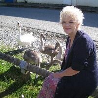 Jennifer Ashton (@108jennifer) 's Twitter Profile