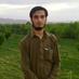 Qamar Zaman (@qamar4776) Twitter profile photo Qamar Zaman (@qamar4776) Twitter profile photo