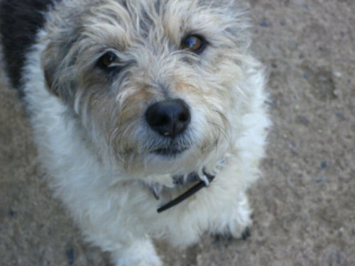 GeorgiaaaaMaiii's profile picture. I knew you were trouble when you walked in.