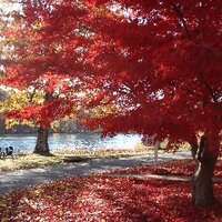 Marissa Silverman (@silvermanreads) 's Twitter Profile