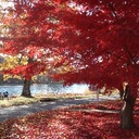 Marissa Silverman - @SilvermanReads - Twitter