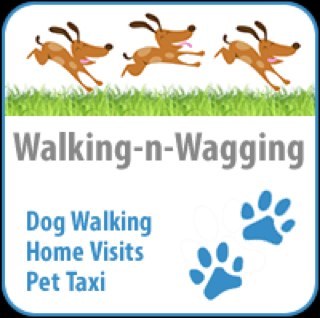 Walking-n-Wagging is a professional, reliable, personal, caring dog walking & pet services company. I’m Lisa, I have 2 gorgeous cocker spaniels and a tortoise