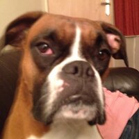 Chris Hoult (@houltski) 's Twitter Profile