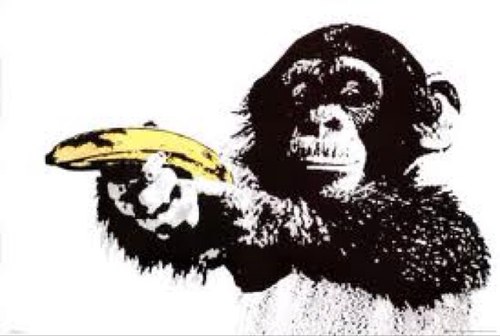 calispyder's profile picture. 