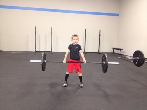 orthomorty's profile picture. 