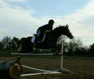 yardriderprobs's profile picture. Just because its not fancy doesn't mean I'm a bad rider. #backyardrider #localcircuit #TeamAPHA