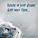 Elisa Bell Reid - @elisa_reid - Twitter