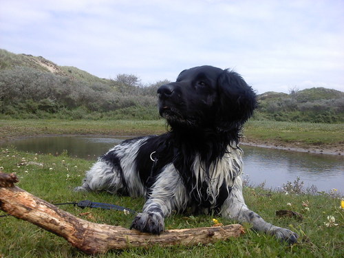 S_Nijmeijer's profile picture. 