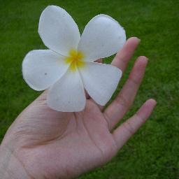 hosura6's profile picture. 정치에 관심이 많은  살림주부.