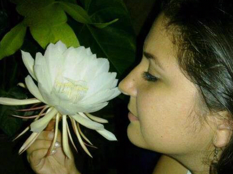 Oraimabolivar's profile picture. 