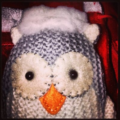 orlando owl