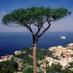 Campania Wines (@campaniawines) Twitter profile photo