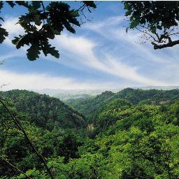 AgroLanDesigner's profile picture. Landscape Architect & Agronomist. Design, build, restore & maintain urban & green areas, parks, gardens, landscape; discovering traditions & life style