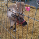 Patsy Johnson - @Patsyjohnson194 - Twitter