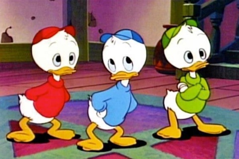 mujaheedhussai3's profile picture. 