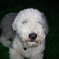 Rick Kimbrel (@rickkimbrel) 's Twitter Profile