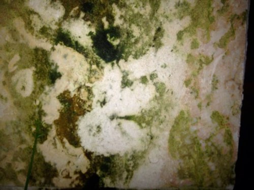 rdunnpty's profile picture. 