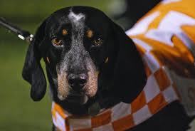 MarkSpurlock64's profile picture. #father #tennessee #construction