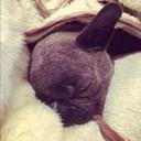 JACKSON CORNISH ❤ - @Jackson_JessieJ - Twitter