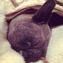 Jackson Cornish - @JacksonJCornish - Twitter