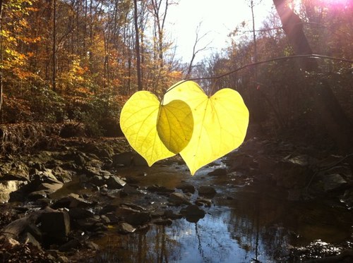 Isisvarekai's profile picture. 