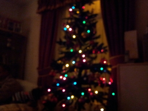 allisonsmith241's profile picture. 