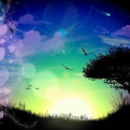 anis_gonzalez's profile picture. 