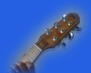 les mots que l'on n'a pas dit sont les fleurs du silence. --passion guitare, adore aussi la philo et la politique ce qui n'est pas imcompatible .