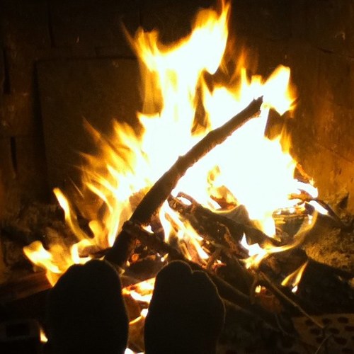 MasSeguidore's profile picture. 