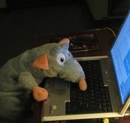 CyberRata's profile picture. 