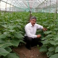 Yavuzer Tarım🇹🇷 (@yavuzertarim) 's Twitter Profile Photo Yavuzer Tarım🇹🇷 (@yavuzertarim) 's Twitter Profile Photo