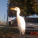 John Neely - @surfin_apple - Twitter