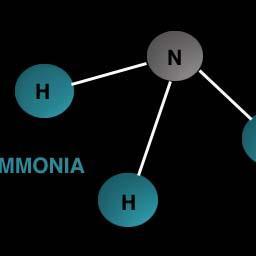 river123river's profile picture. adnan12300445252222222