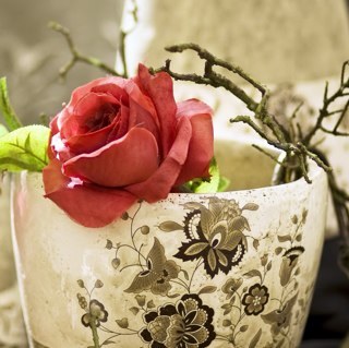 ommishal22's profile picture. 