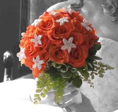 Loudoun, VA's largest & oldest full service florist. Visit our store at 13C Fairfax St SE, Leesburg, VA 20175 or shop online at http://t.co/oaCJD3a9SB
