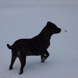 #photographer #arkansas #virginia #mydog #campsite #fishing #greatoutdoors  #bluegrass