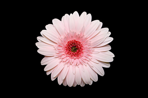 Method of no method to enhance, deepen and compliment any ones path that they may choose. For all paths led to the same unknown understanding.