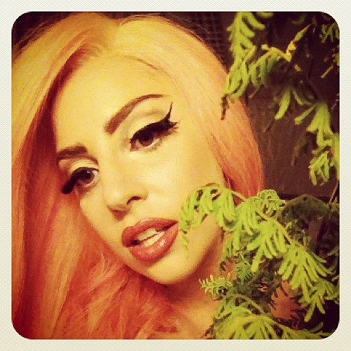 Goal: To follow every Littlemonster on twitter ♥