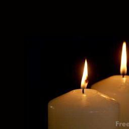 wernbranz's profile picture. Freelancer